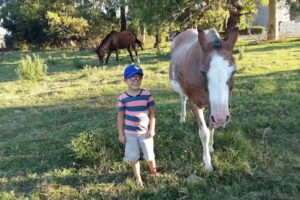 Aberturas y Muebles San Pao