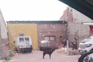 Algo Bonito Muebles a Medida