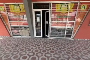 Almohadones &ldquo;Tatiana&rdquo;