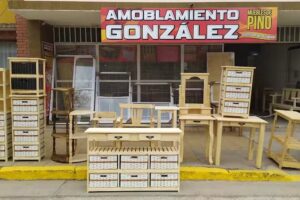 Amoblamiento Gonzalez