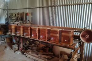 Cajas para abejas meliponas yate&iacute;