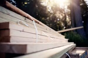 El Taller de Artemisa