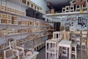 El Tigre en Pueyrred&oacute;n