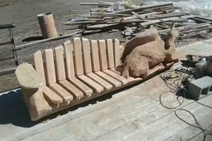 francisco acosta villa la angostura