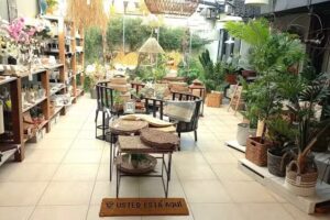 Gavia Mar del plata- Casa de decoración- Muebles-Arte