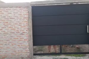 Lisandro De La Torre