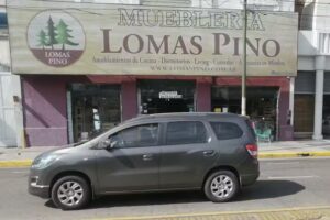 Lomas Pino