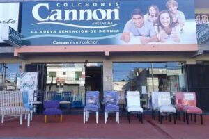 Mi Sue&ntilde;o Tu Estilo