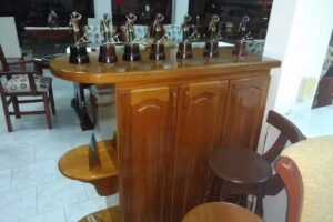 Miguel Milesi amoblamientos