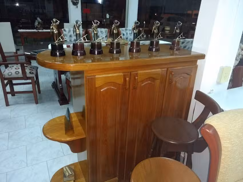 Miguel Milesi amoblamientos