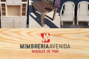 Mimbrer&iacute;a Avenida