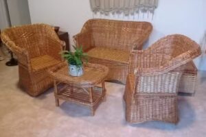 Mimbreria san salvador