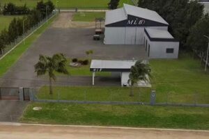 MLB Fabrica De Camas Y Muebles