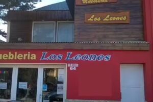 Muebleria Los Leones