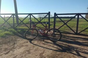 Orsili Osvaldo Remo SRL