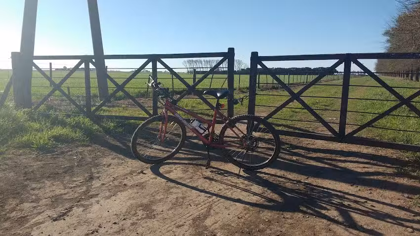 Orsili Osvaldo Remo SRL