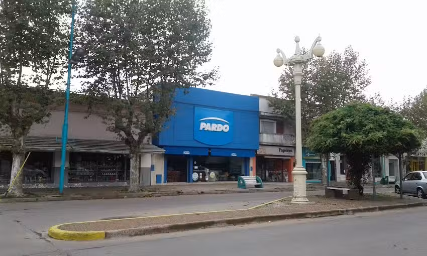 Pardo