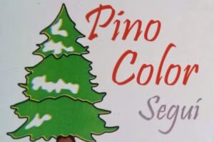 Pino Color
