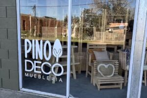 Pino y Deco Concepci&oacute;n