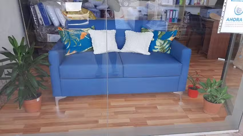 Pro Confort Feria del este