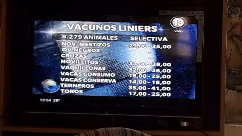 San Jos&eacute; Muebles