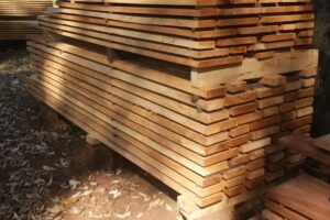 Selva Paranaense SRL