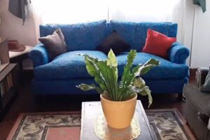 Tapicer&iacute;a Blan-Fer