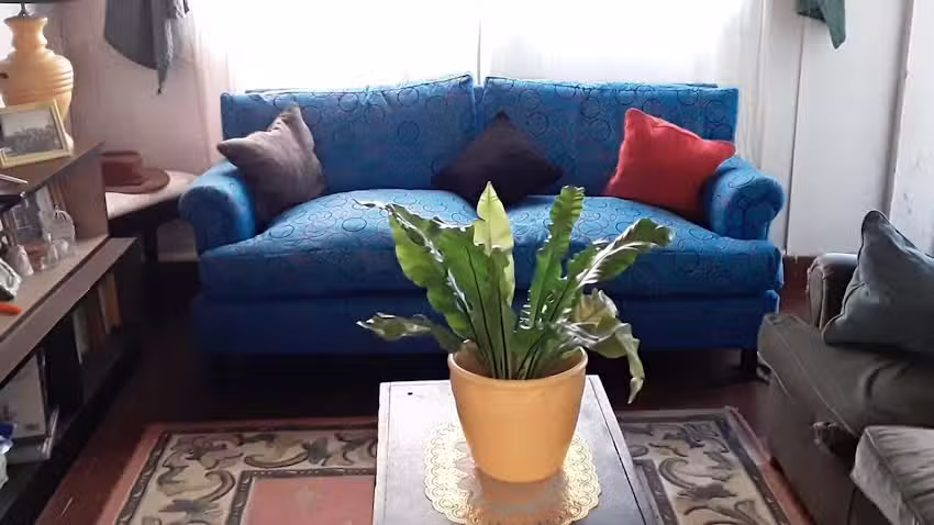 Tapicer&iacute;a Blan-Fer