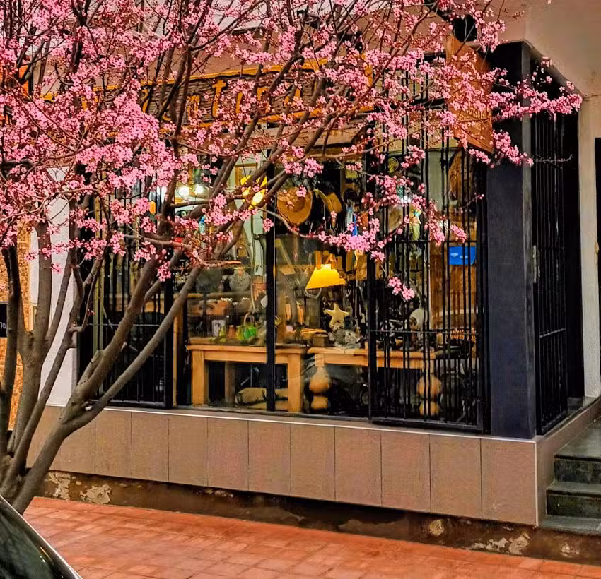 Valentina Decoraciones